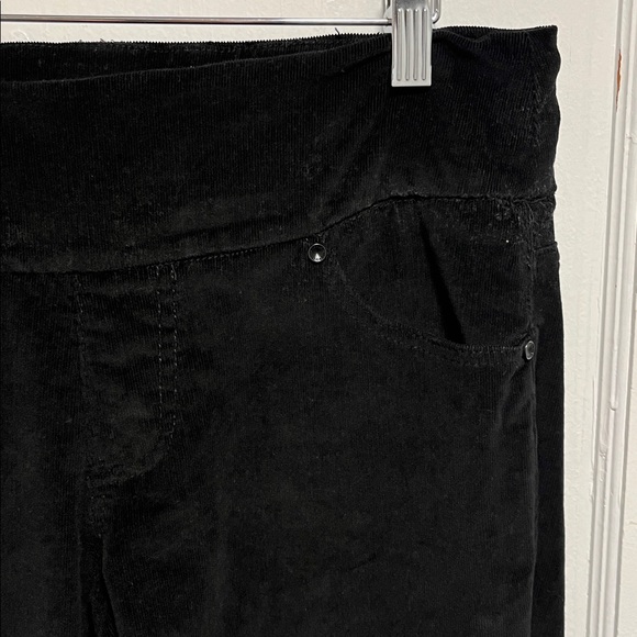Jag Jeans Velvet Pants - Picture 4 of 15